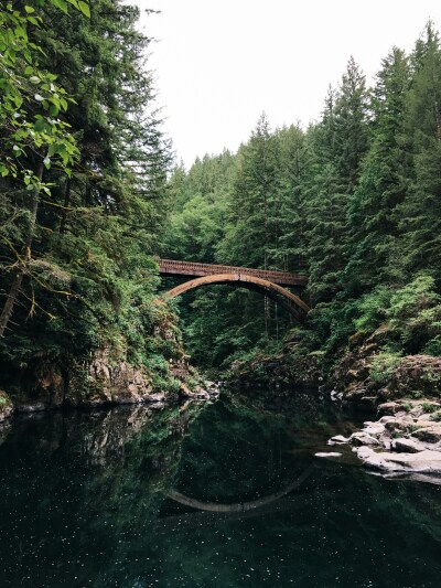 Pont dans la forêt, qui represente la transition et l'éco-conception